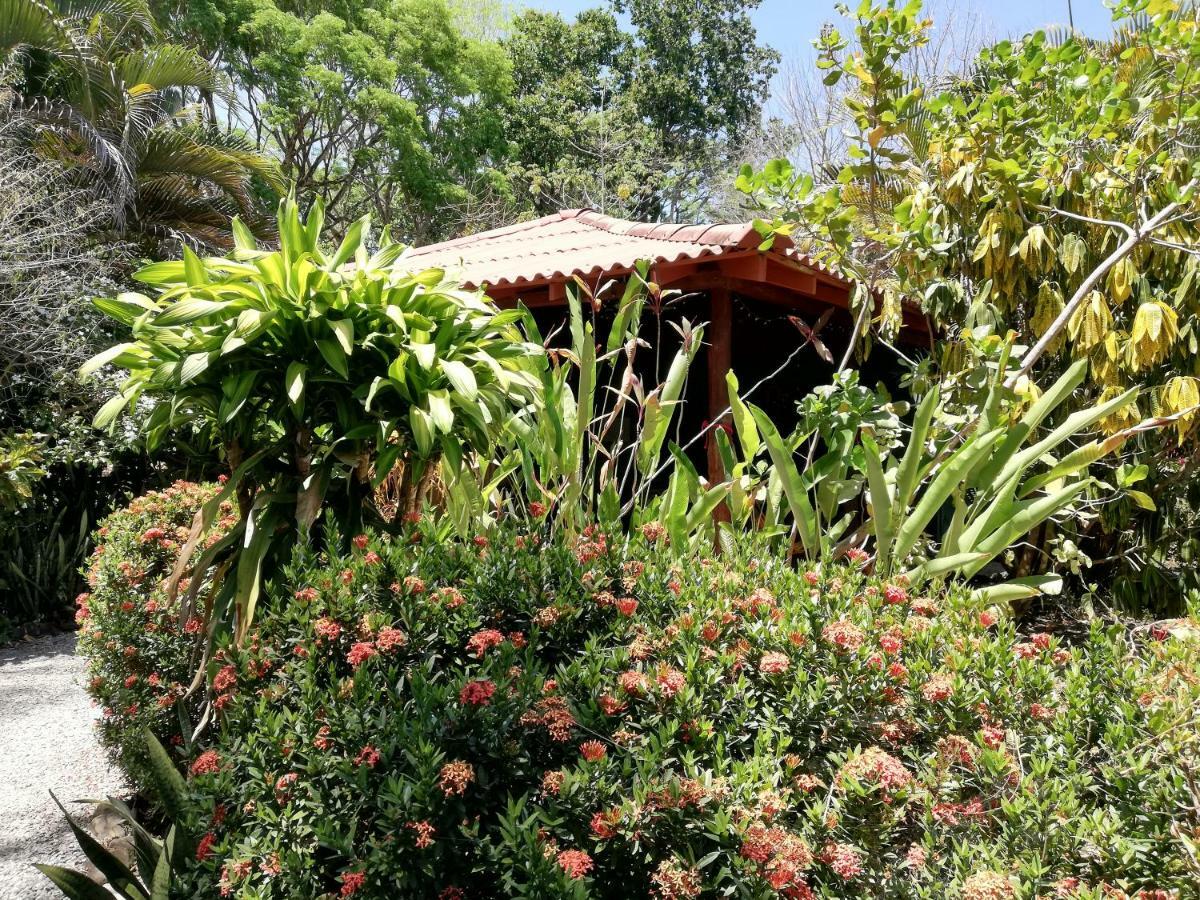 Mundo Goub'Art Bed & Breakfast Cabuya  Екстериор снимка